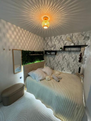 studio confort lumineux avec superbe vue